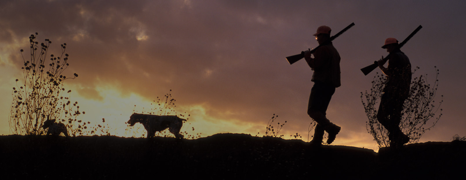 The Privilege of Quail Hunting in Texas: A Call to Preserve and Protect