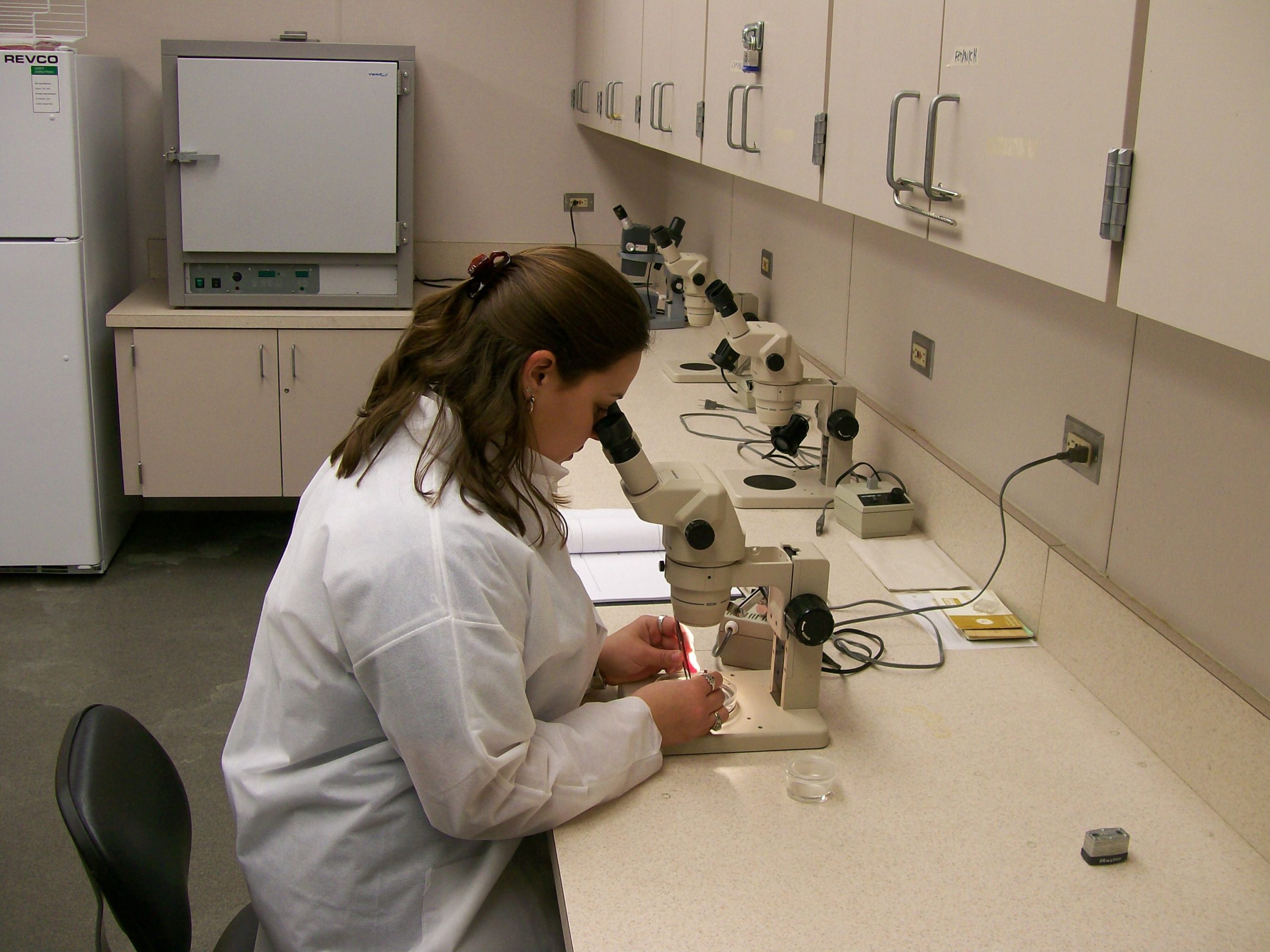 Potential Benefits of Medicated Feed for Controlling Eyeworms and Cecal Worms in Quail: A Pathway to Stabilizing Populations in Texas