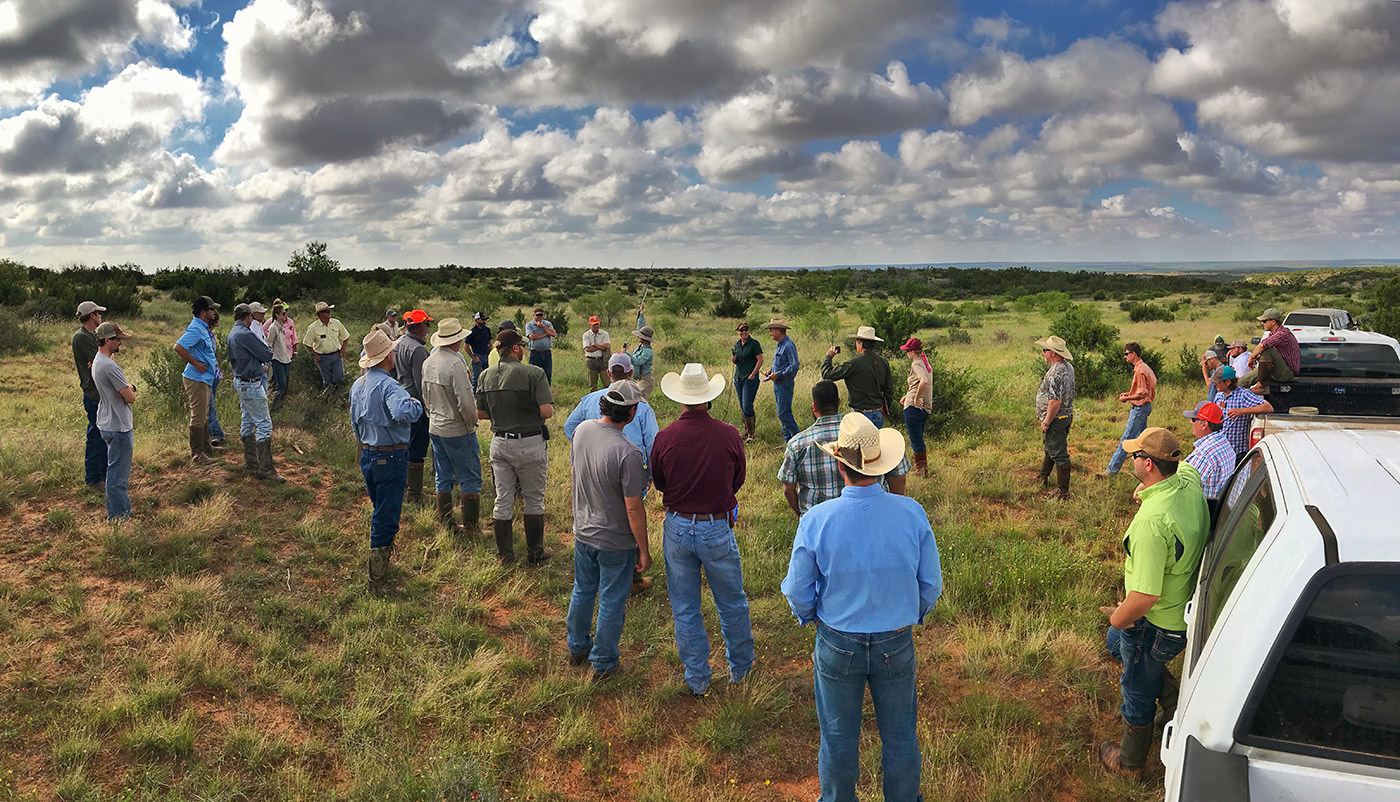 Cattle ranchers gather in Texas pasture. Ranchers in hats, trucks, and grassland under cloudy sky. Ranch management meeting.