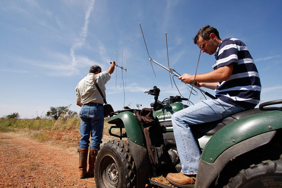 Two men using radio telemetry equipment with antennas on an ATV. Wildlife tracking.