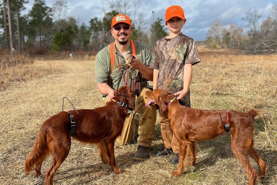 Bobwhite population dynamics podcast image: Father and son with hunting dogs and a bobwhite quail.